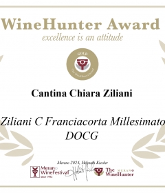 12 - WineHunter Gold Brut millesimato ZC_page-0001