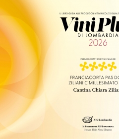 18-Pas-Dose-2021-4-rose