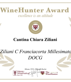 3-WineHunter-Gold-Brut-millesimato-ZC