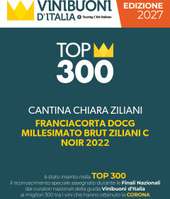 top-300-vinibuoni-7914